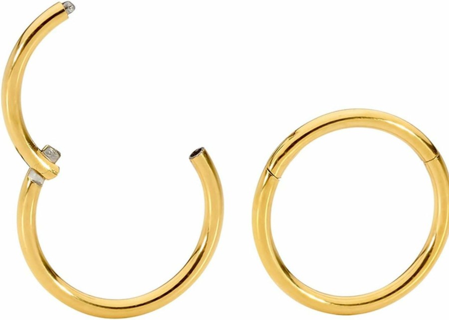 365 Sleepers 365 Sleepers 2Pcs 18G Surgical Steel 6Mm - 10Mm Hinged Hoop Segment Nose Septum Tragus Helix Lip Ring Uni Sleeper Earrings | Body Piercing Rings