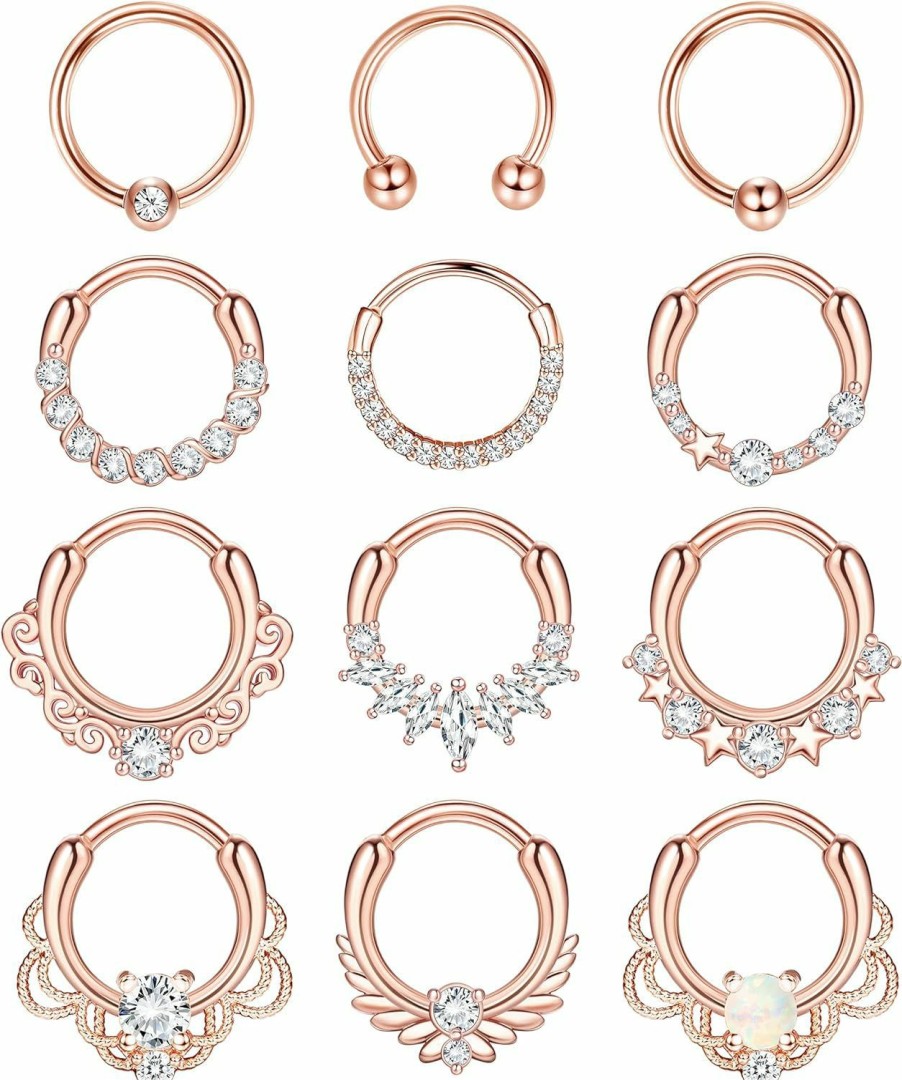 Ubjuliwa Ubjuliwa 12Pcs Septum Jewelry 16G Daith Earrings Hinged Hoop Nose Rings Septum Clicker Cz Stainless Steel Cartilage Earring Helix Tragus Daith Piercing Jewelry | Body Piercing Rings