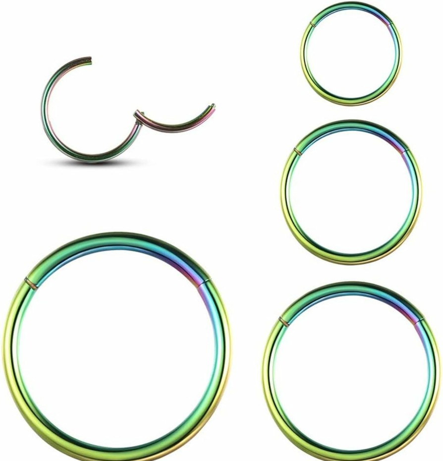 WBRWP Wbrwp 316L Stainless-Steel Piercing-Ring Hinged Nose-Rings-Hoop : 20G 18G 16G 14G Womens And Mens Body Pierecing Ring Segment Clicker Lip Rings Helix Cartilage Rook Earrings Diameter 6Mm 8Mm 10Mm 12Mm | Body Piercing Rings