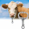 Pilipane Stainless Steel Hinged Hoop Segment Nose Ring Sleeper Earrings Husbandry Accessory(Spring-Type),Bull Cow Cattle Nose Ring, Bull Cow Cattle Nose Ring, Stainless Steel Hinged Stainless Steel Bull | Body Piercing Rings