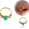 Kokoma 2Pcs Nose Rings 316L Surgical Steel 20G Turquoise Earrings Tragus Septum Piercing Hinged Segment Rings Hoop Hypoallergenic Handmade Body Jewelry For Women Men Uni | Body Piercing Rings