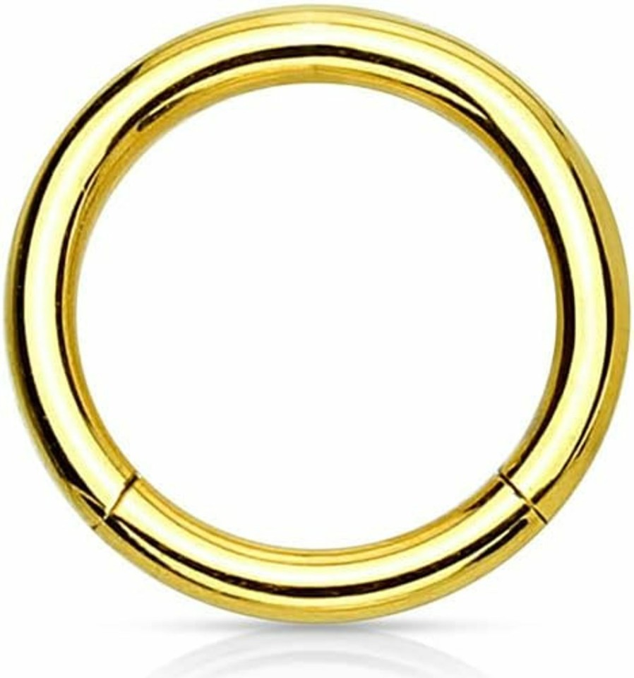 Forbidden Body Jewelry Forbidden Body Jewelry 316L Surgical Steel Hinged Seamless Nose Rings Hoop 14G 16G 18G, Diameter 6Mm 8Mm 10Mm 12Mm, Gold/Rose Gold/Silver/Black/Rainbow Colors. | Body Piercing Rings