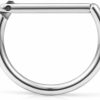 Ruifan Ruifan 316L Stainless Steel D Shaped Hinged Seamless Segment Hoop Septum Clicker Ring Lip Helix Tragus Cartilage Earrings Nose Rings Pirecing 16G 10Mm | Body Piercing Rings