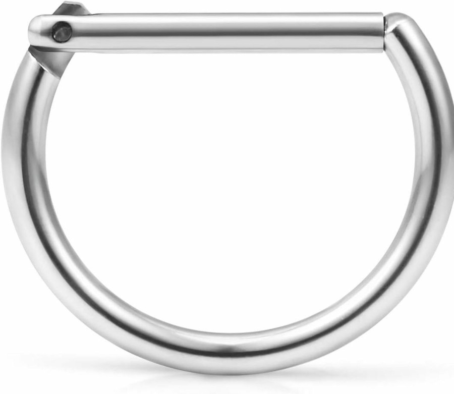 Ruifan Ruifan 316L Stainless Steel D Shaped Hinged Seamless Segment Hoop Septum Clicker Ring Lip Helix Tragus Cartilage Earrings Nose Rings Pirecing 16G 10Mm | Body Piercing Rings