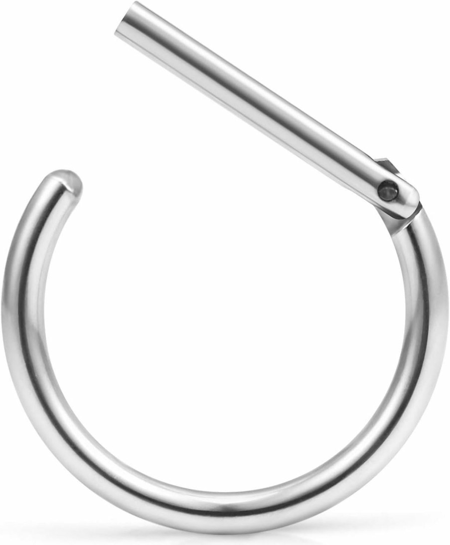 Ruifan Ruifan 316L Stainless Steel D Shaped Hinged Seamless Segment Hoop Septum Clicker Ring Lip Helix Tragus Cartilage Earrings Nose Rings Pirecing 16G 10Mm | Body Piercing Rings