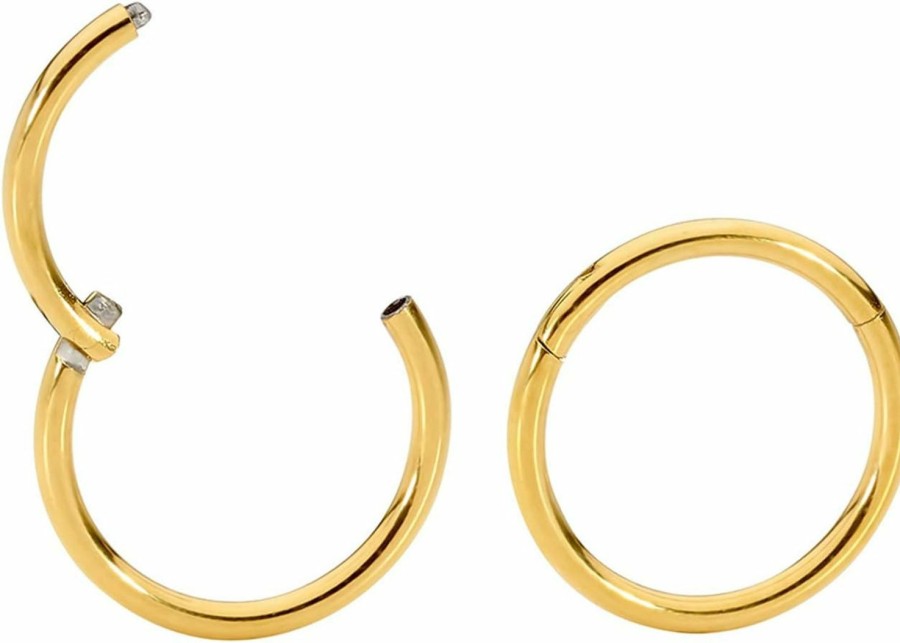 365 Sleepers 365 Sleepers 2Pcs 16G Surgical Stainless Steel 6Mm - 10Mm Hinged Hoop Segment Nose Helix Tragus Septum Ring Uni Sleeper Earrings | Body Piercing Rings