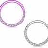 BLISI 2Pcs G23 Titanium Nose Rings Hoop 18G 16G Clear Cz Lined Hypoallergenic Conch Helix Cartilage Daith Earrings Hoop 8Mm 10Mm Septum Rings Silver And Gold Lip Hinged Segment Ring | Body Piercing Rings