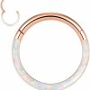 Longbeauty Longbeauty 16G Cz Opal Hinged Segment Nose Rings Hoop 316L Surgical Steel Helix Cartilage Tragus Earrings Septum Clicker Ring 8Mm 10Mm | Body Piercing Rings