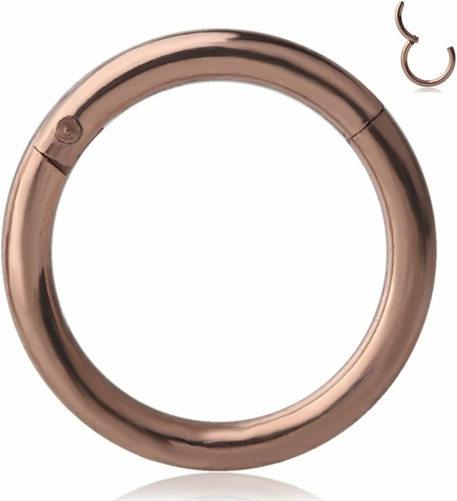 Ruifan Ruifan 1Pc Stainless Steel Hinged Seamless Segment Hoop Septum Clicker Ring Lip Helix Tragus Cartilage Earrings Nose Rings Pirecing 16G 14G | Body Piercing Rings