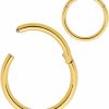 365 Sleepers 365 Sleepers 20G 18G 16G 14G 12G 10G 8G Titanium 6Mm - 16Mm Septum Hinged Segment Nose Lip Ring Hoop Sleeper Uni Earrings Body Piercing Jewelry | Body Piercing Rings