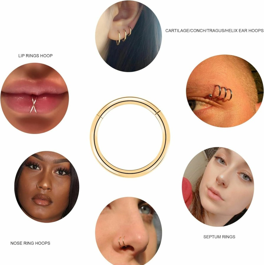 arvinpiercing 6Pcs G23 Titanium Septum Rings 16G Diameter 6Mm/8Mm/10Mm Hinged Nose Ring Hoops For Women Men Girls Cartilage Hoop Earrings Body Piercing Rings Black/Silver/Gold/Rose Gold Lip Rings | Body Piercing Rings