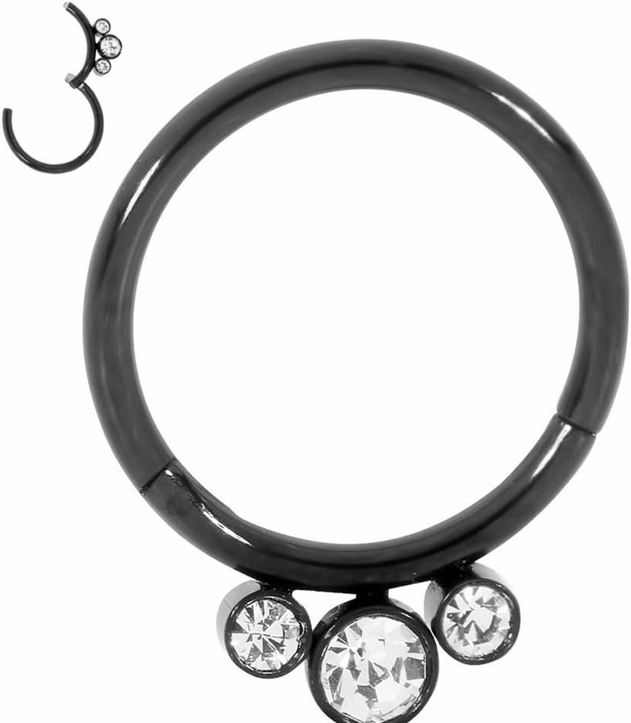 365 Sleepers 365 Sleepers 316L Surgical Steel 8Mm 10Mm 16G Gem Hinged Hoop Segment Nose Ring Helix Tragus Septum Uni Earring Body Piercing Jewelry | Body Piercing Rings