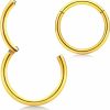 From da Phactory 316L Surgical Steel Hinged Rings Hoop Earrings 18G 16G 14G Septum Nose Body Piercing Lip Rings Nose Helix Cartilage Rook | Body Piercing Rings