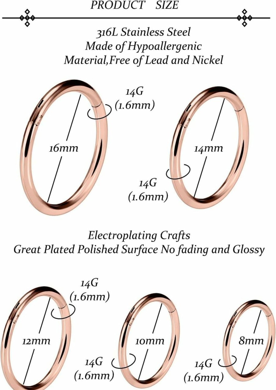 Vsnnsns Vsnnsns 14G 16G Nose Rings Hoops 316L Surgical Steel Hinged Segment Septum Ring Cartilage Tragus Helix Rook Conch Earrings Hoops 8Mm 10Mm 12Mm 14Mm 16Mm Silver Black Gold Rainbow Rose Gold | Body Piercing Rings