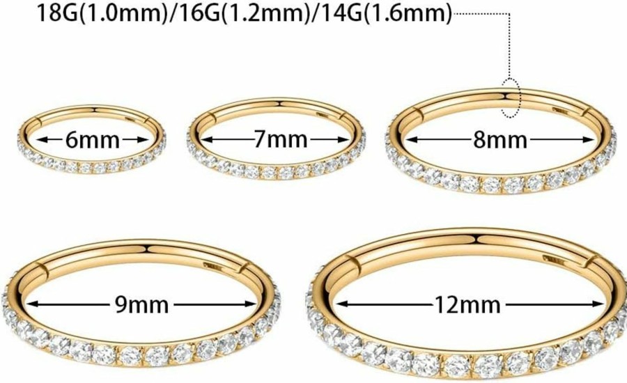 PEAKLINK G23 Titanium Cartilage Hoop Earrings Conch Septum Clicker Ring 16G Seamless Hinged Segment Ring Gold Rose Gold Silver Helix Rook Tragus Daith Hoop Earrings 8Mm 10Mm Nose Hoop Ring Jewelry With Cz | Body Piercing Rings